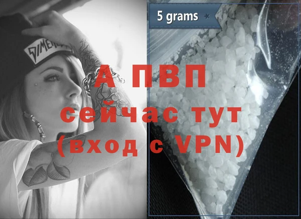 стаф Костерёво