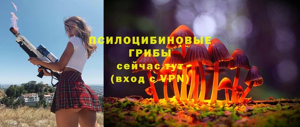 Альфа ПВП Коряжма