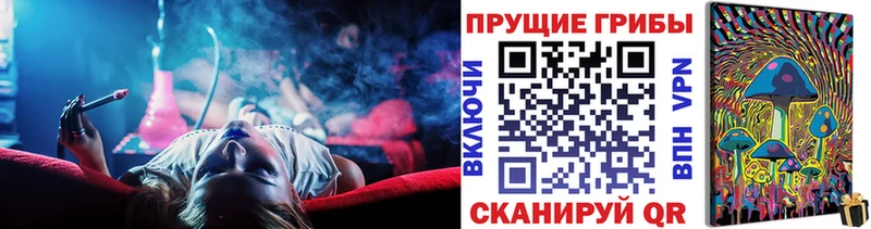 Псилоцибиновые грибы Psilocybe  Урень 